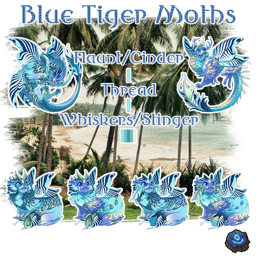 Blue Tiger Moths